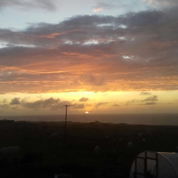 Meet your Posh Ambassador, ☀️Marilou☀️ - Picture 3 of 4